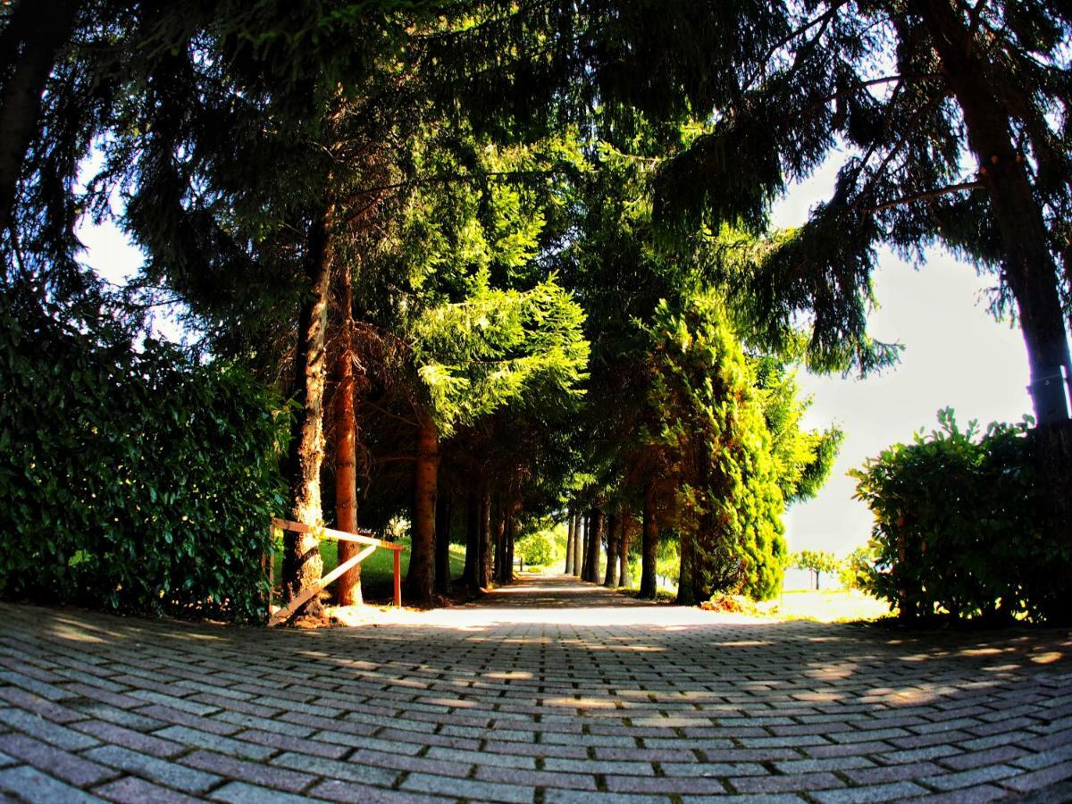 Вілла Casa Vacanza Pratolungo Zogno Екстер'єр фото
